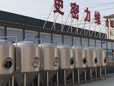 寿光精酿啤酒设备厂—如何判断精酿啤酒设备的密封件需要更换？